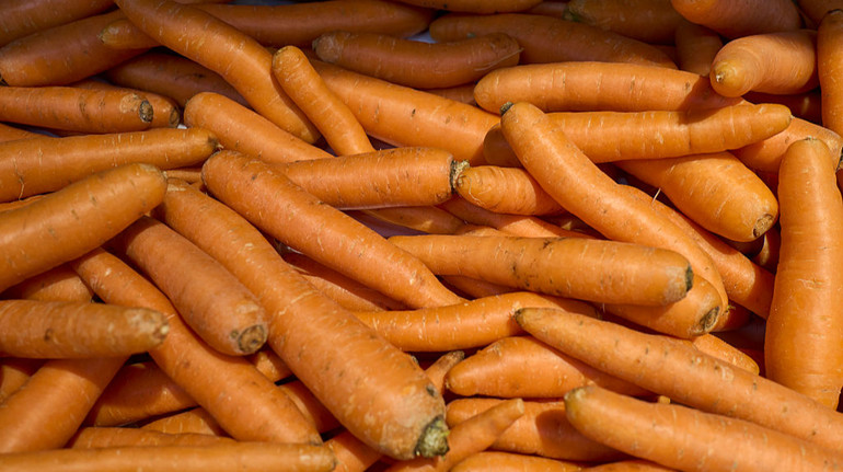 В Украине дорожает морковь: какие на нее цены