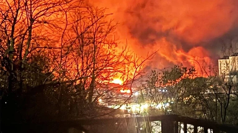 Дроны не сломали экспорт нефти РФ: в мае отгрузки могут вырасти