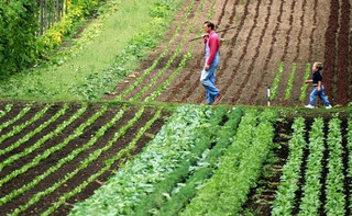 Чому ми підписали меморандум за скасування мораторію на продаж землі