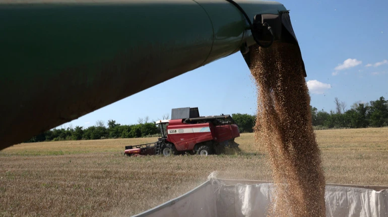 Український агробізнес торік збільшив доходи на 7%: які компанії заробили понад мільярд