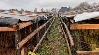 В Україні ліквідували масштабне підпільне виробництво тютюну на 25 мільйонів