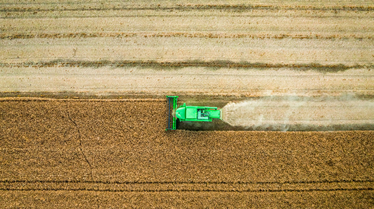 У Раді запропонували заборонити окремій категорії іноземців купувати сільгоспземлі