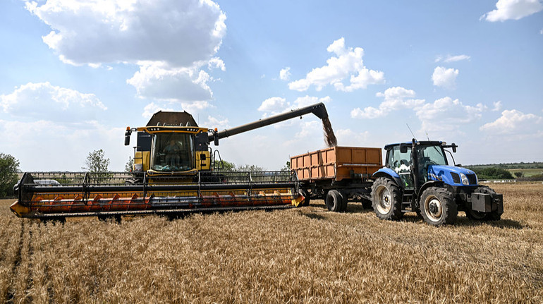 Заместителю министра агрополитики РФ вручили подозрение за похищение зерна Украины