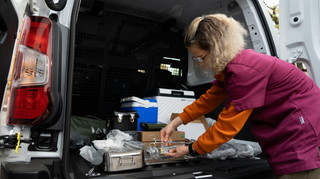 Швидка допомога для порятунку свійських тварин: історія створення мобільних ветеринарних груп у Миколаєві