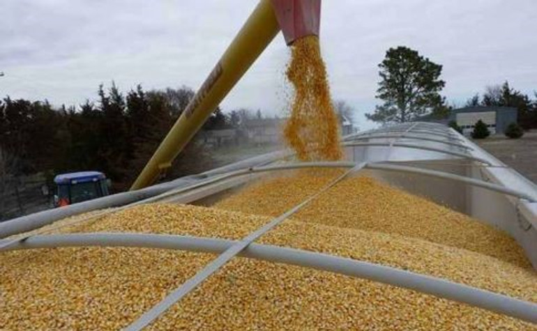 Украина существенно увеличила экспорт зерна