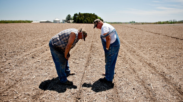 Фермери США поскаржились, що їм не вистачить компенсації, яку пропонує Трамп