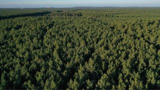 Суд выгнал компанию из охотничьих угодий в Винницкой области