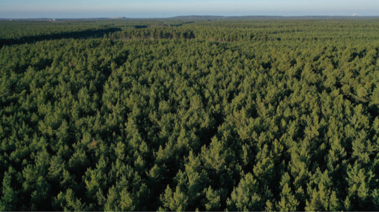 Суд вигнав компанію з мисливських угідь у Вінницькій області