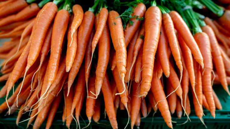 На українському ринку підскочили ціни на моркву: скільки вона коштує