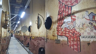 Тайны Коблева. Репортаж с винодельческого предприятия-гиганта
