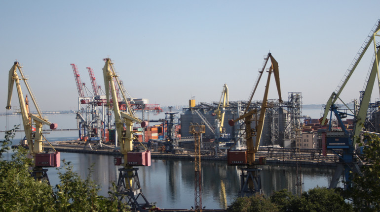 Митники протестували новий цифровий контроль у портах: що він дає логістиці