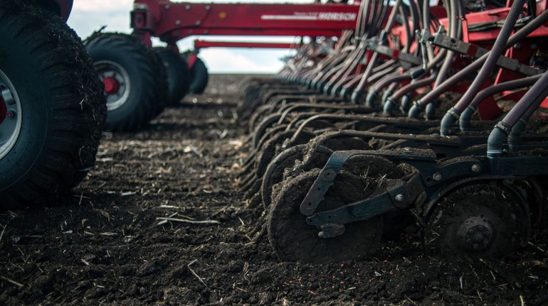 В Україні скорочуються площі під озимими: скільки засіють пшениці, ячменю, жита та ріпаку