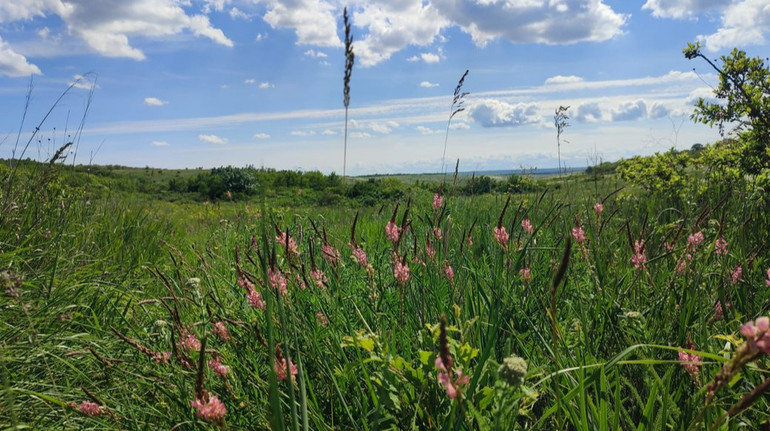 Суд отобрал у охотничьего предприятия полигон обороны в Одесской области
