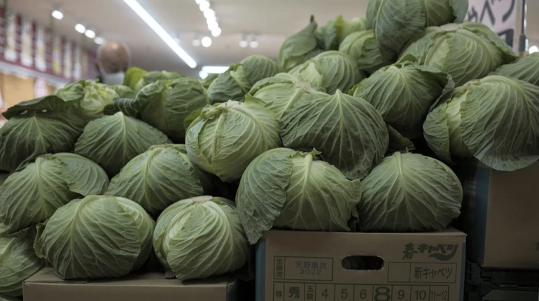 На украинском рынке капуста за год подешевела вдвое: какая ее цена