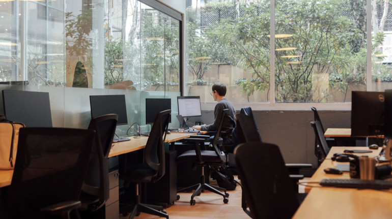 В Украине новых ФЛП открыли на 40% больше, чем в прошлом году