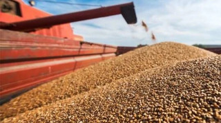 Агрохолдинг ІМК має намір цього року скоротити борг до 20 мільйонів доларів