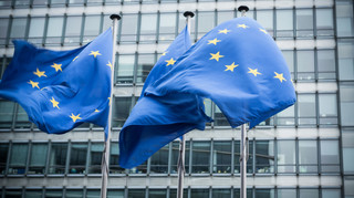 Высокие квоты для экспорта Украины диктует аграрное лобби в ЕС – депутат Европарламента