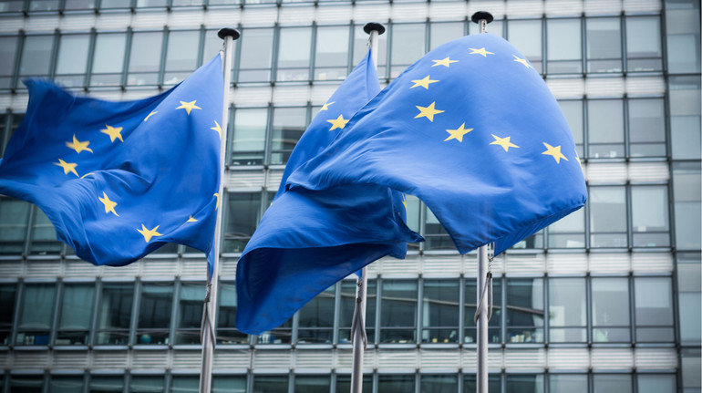 Высокие квоты для экспорта Украины диктует аграрное лобби в ЕС – депутат Европарламент