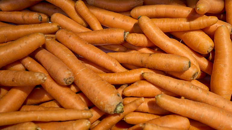 Морковь в Украине подешевела: сколько она сейчас стоит