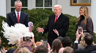 Экономика Рождества: как цены на индюков разоблачили проблемы Трампа с инфляцией