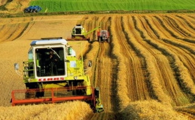 Уряд розподілив 4 мільярда держпідтримки аграріїв на 2020 рік