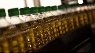 Іспанські аграрії вимагають дзеркальних мит на українську олію, імпорт якої різко зріс