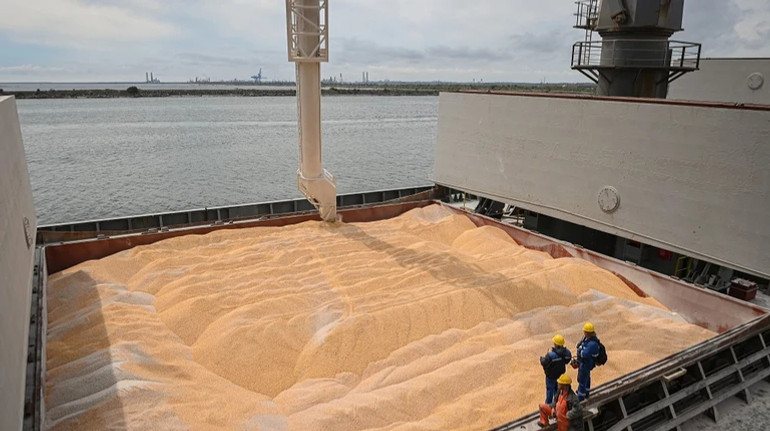 Эксперты проанализировали влияние российских ударов на агроэкспорт Украины