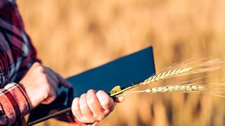 Госагрореестр перешел в полную государственную собственность