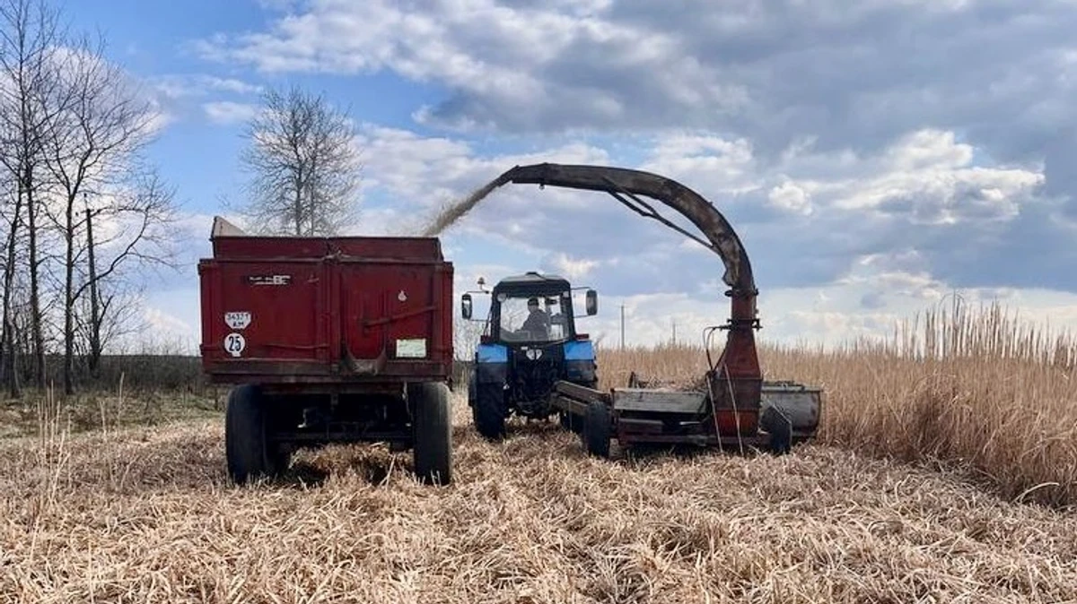 Сбор урожая