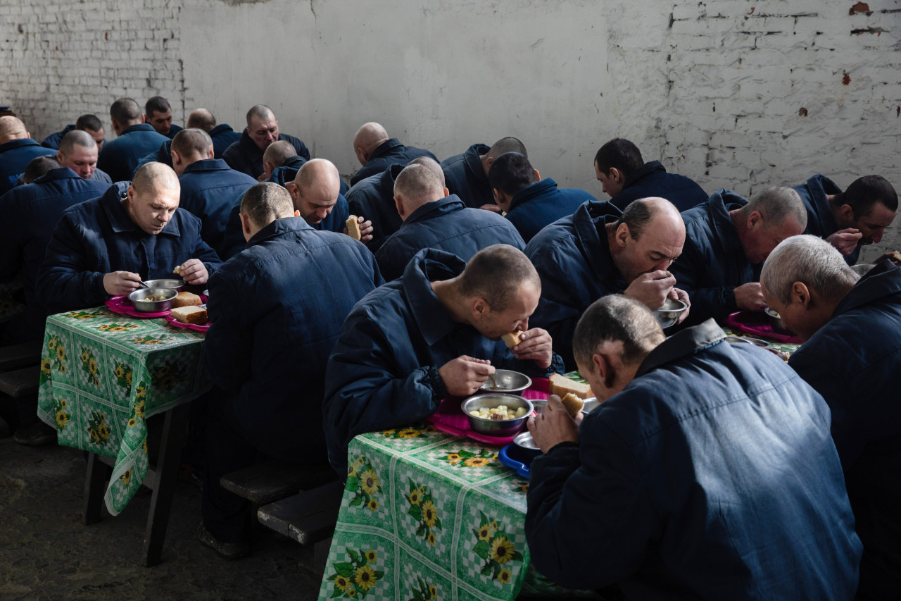 По замыслу на землях Пенитенциарной службы заключенные должны были выращивать себе продукты