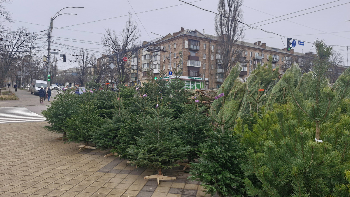 Данські ялинки на ярмарку у Києві