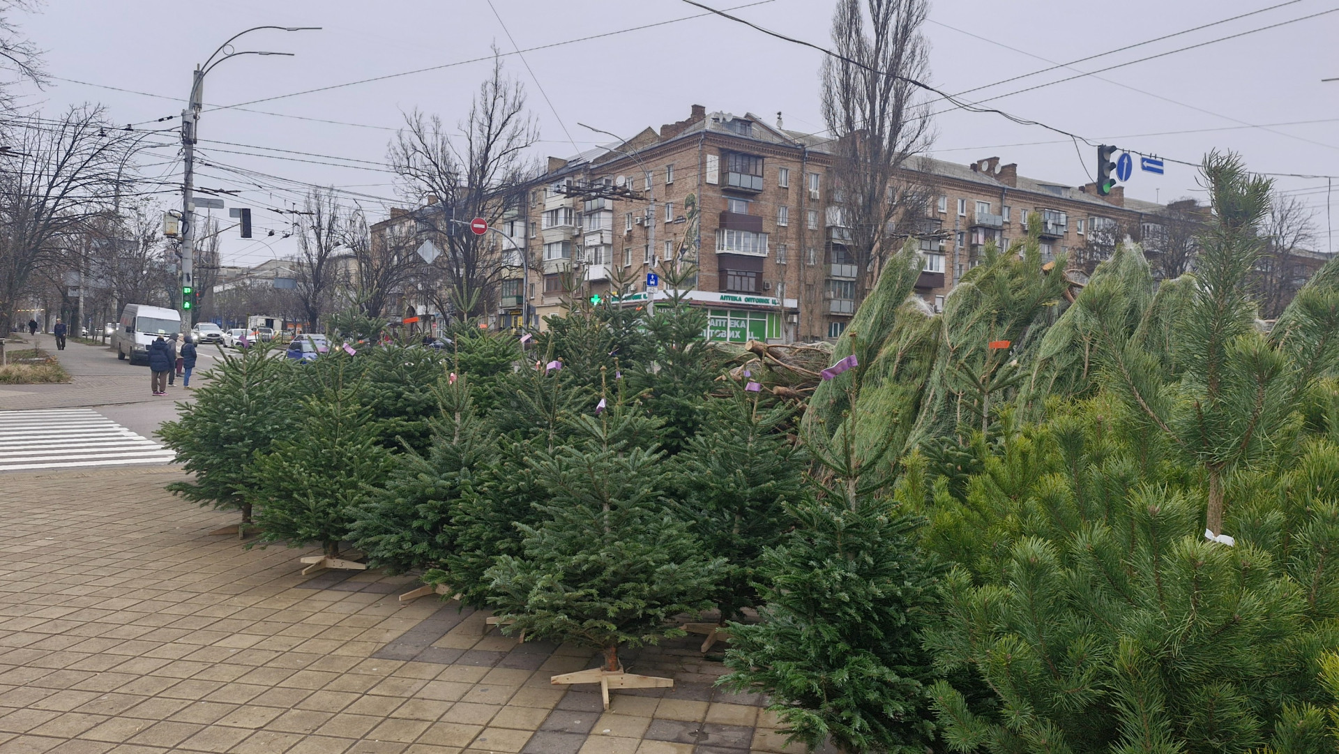 Данські ялинки на ярмарку у Києві