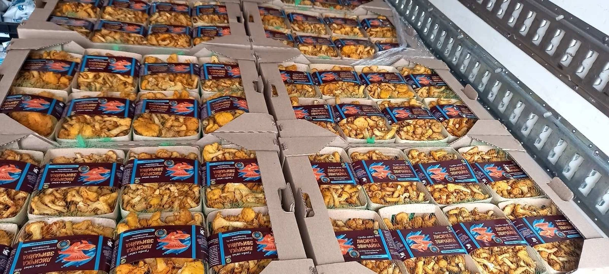 Свежая продукция