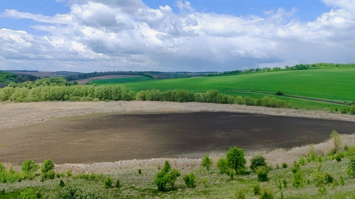 Поле на месте осушенного пруда