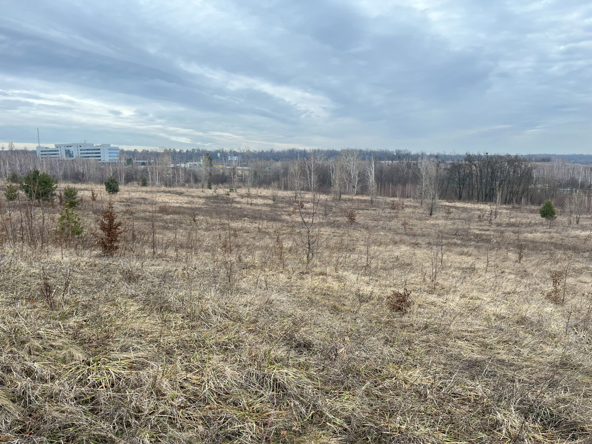 Участок, с которого должна была начаться застройка вокруг Пирогова. На заднем фоне - офис МХП