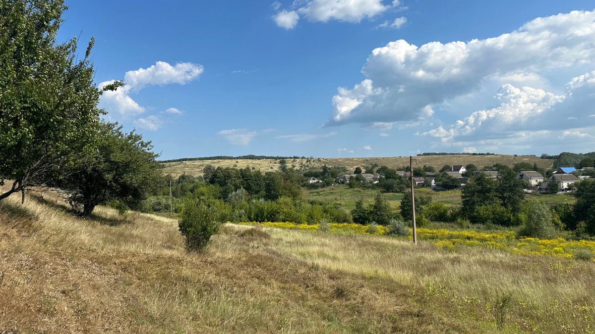 Земли под Ржищевом владелица Lehlych Winery называет сокровищем