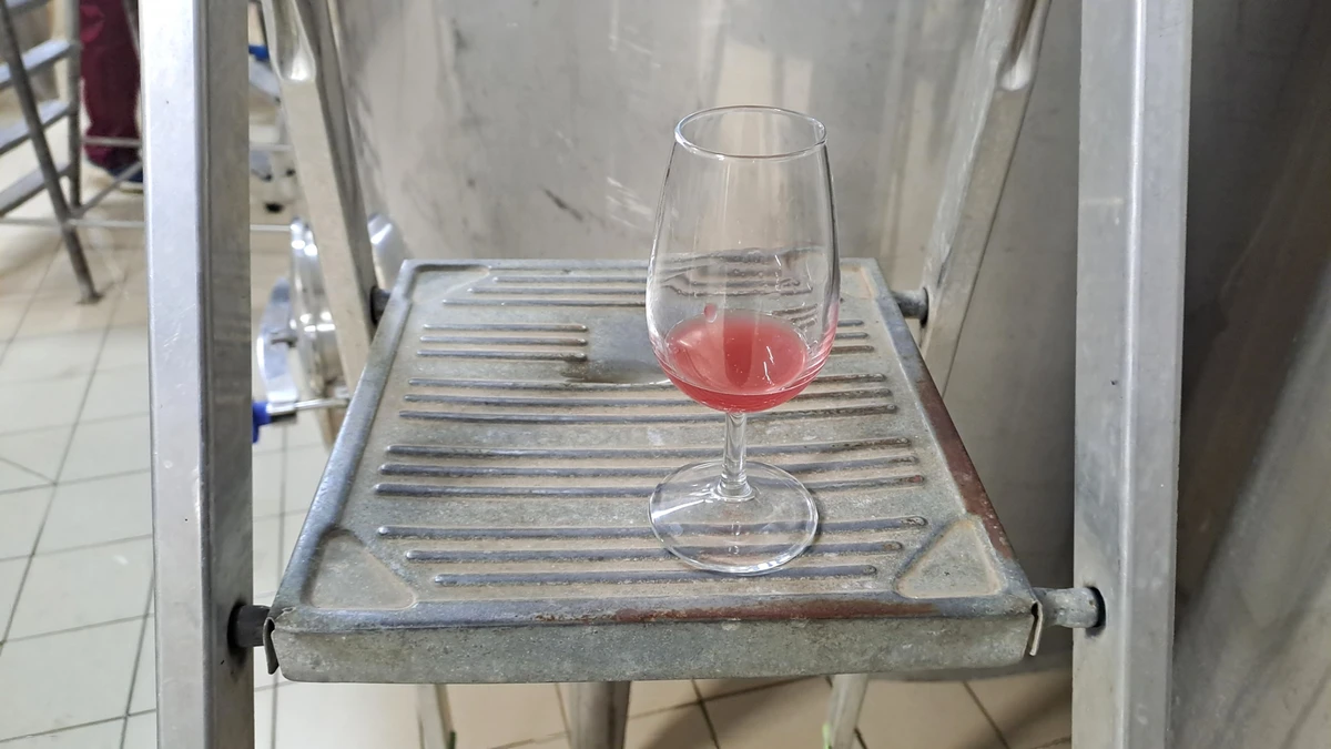 Бурчак – проміжний етап виробництва вина, тьмяне та ароматне молоде вино