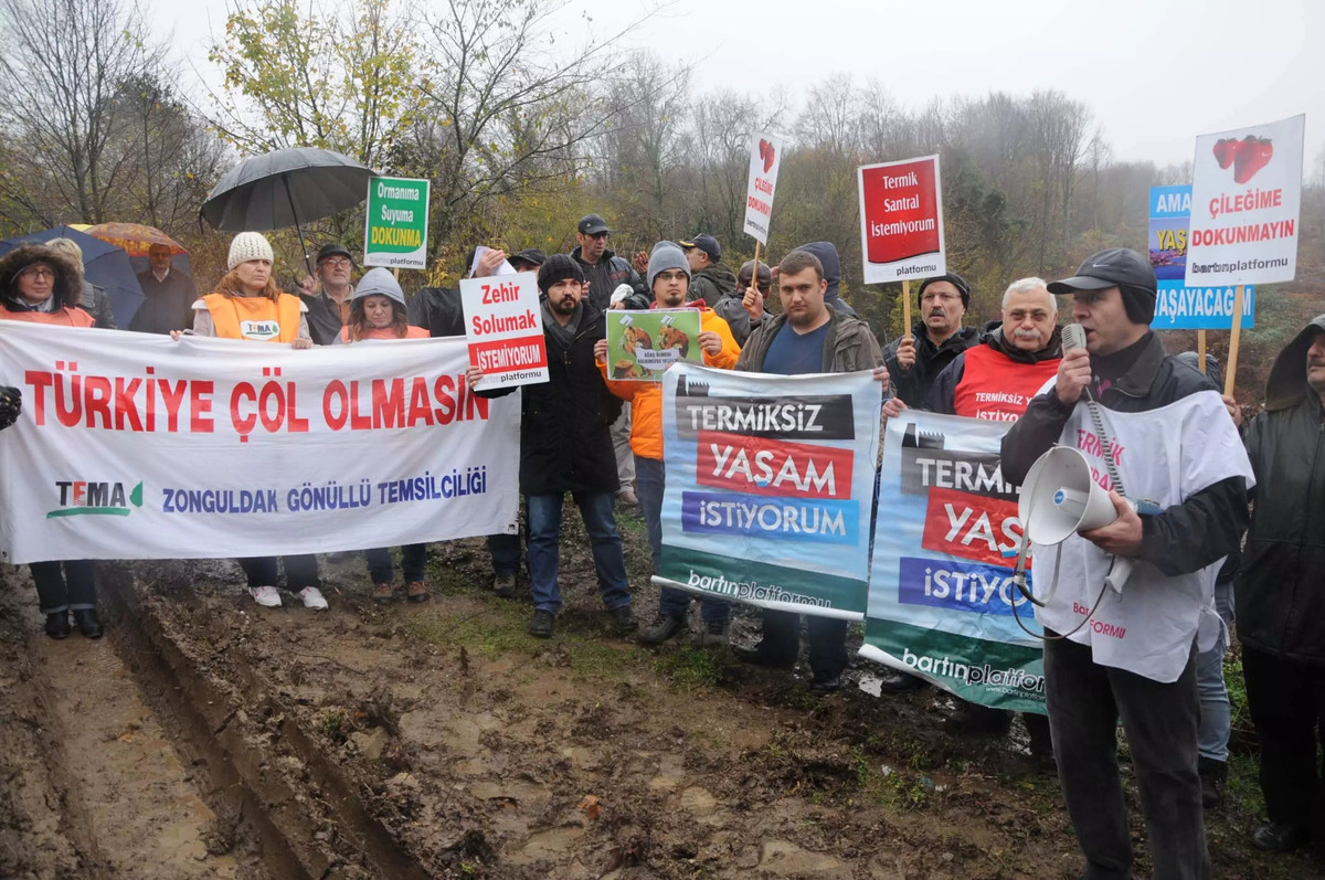 Агрессивное развитие гостиничного бизнеса сопровождается вырубкой лесов