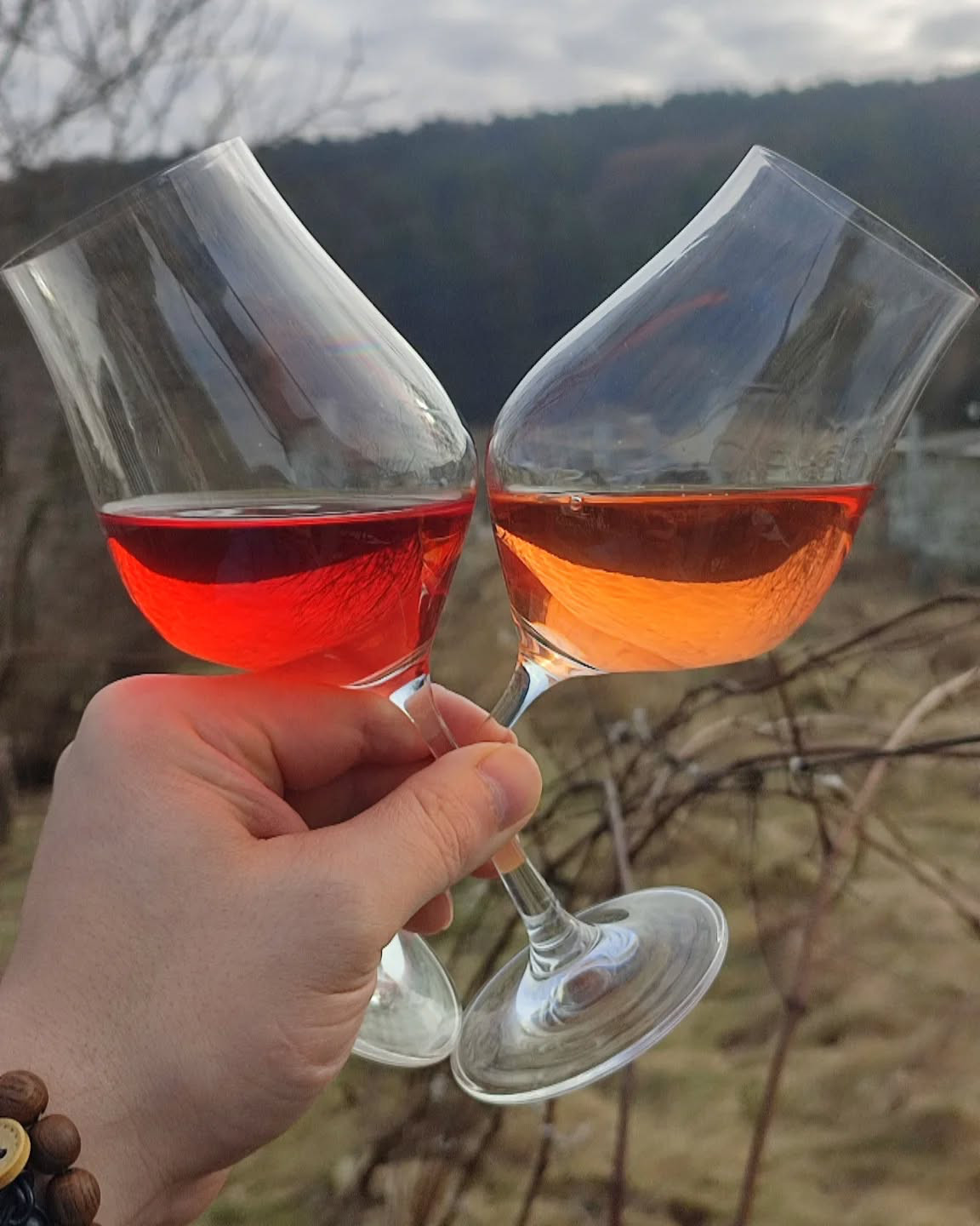 Для виробництва мерло розе подружжя використовує технологію “кровопускання”