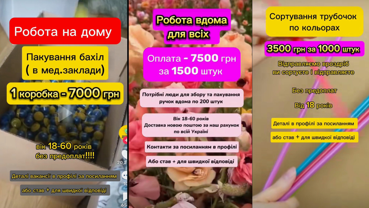Примеры мошеннических объявлений в TikTok