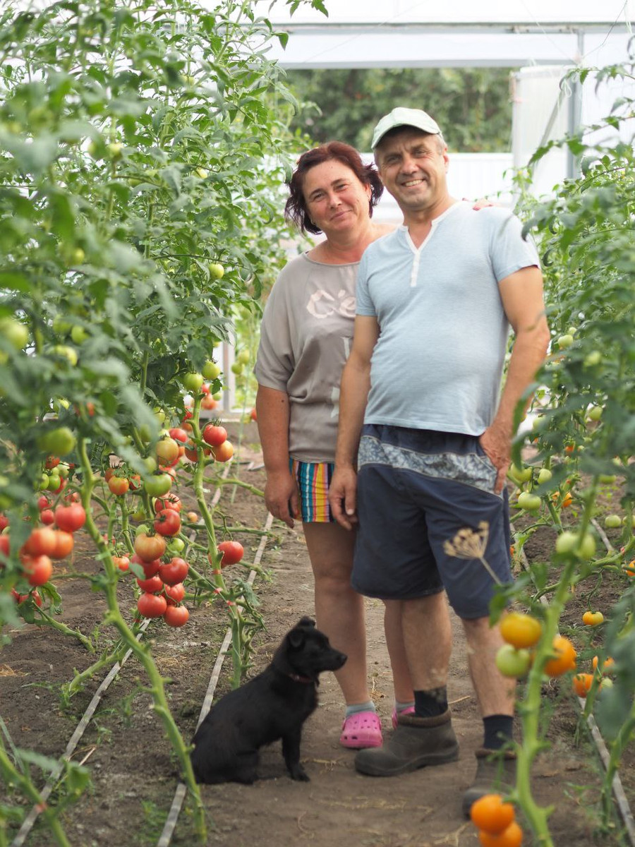 Подружжя Голіків
