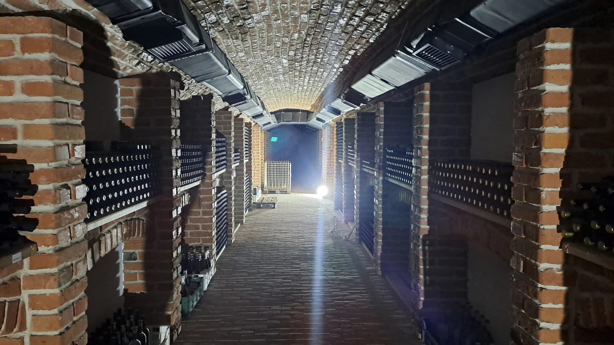 Підземна галерея з’єднує виноробню з будинком господаря