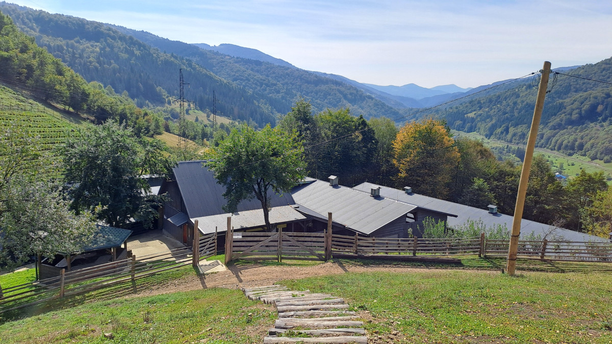 Рядом с виноградником есть ферма, где делают молодой сыр