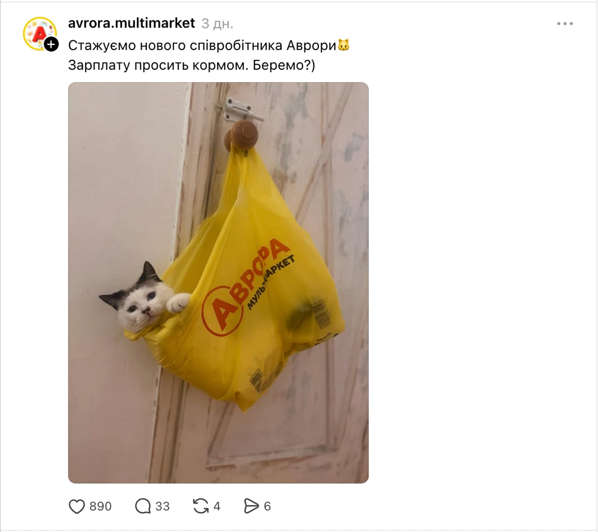 Пост Авроры с котиками