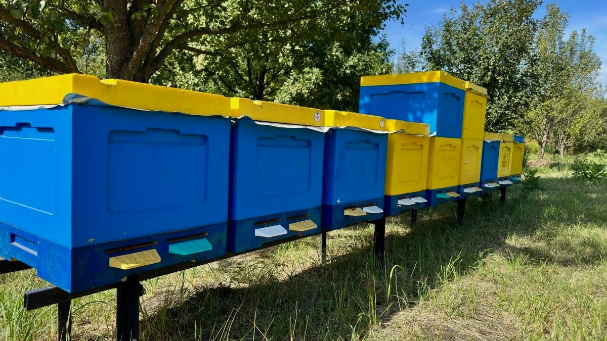 Пінополіуретанові вулики Династії Рясних