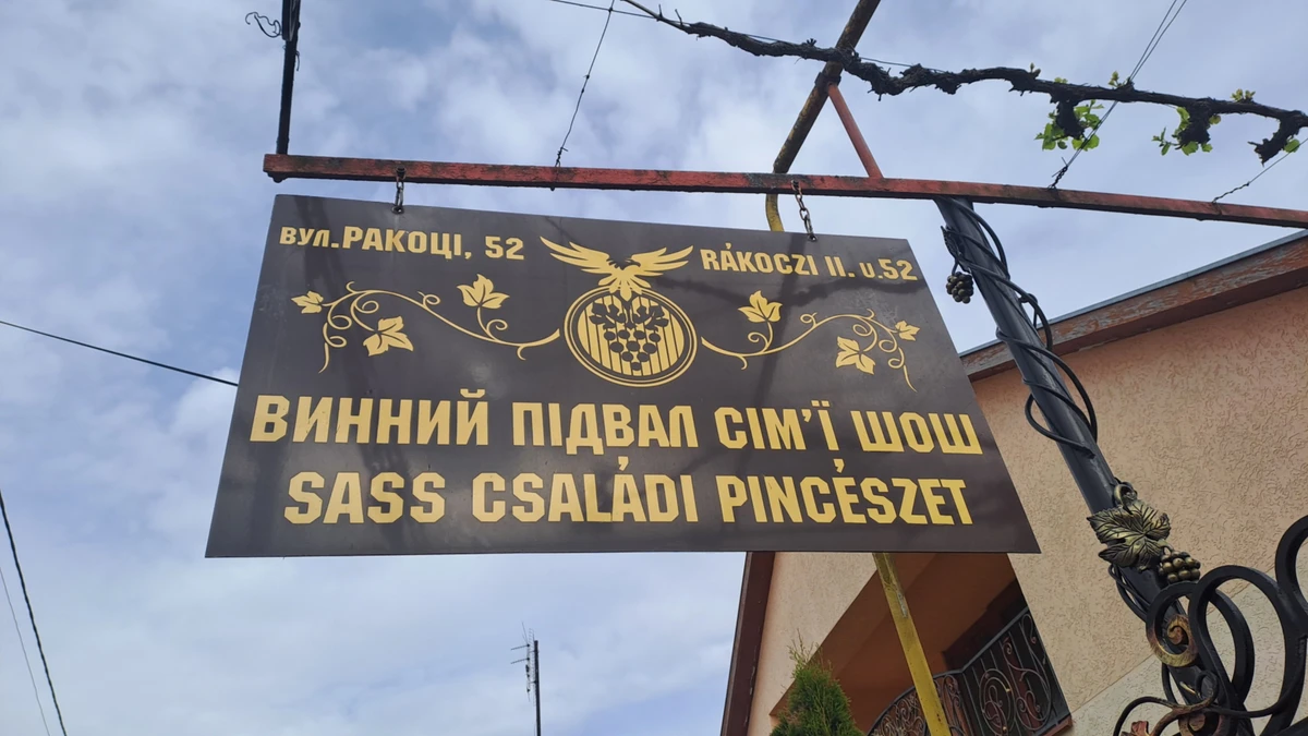 Карло Шош имеет винный подвал в собственном дворе