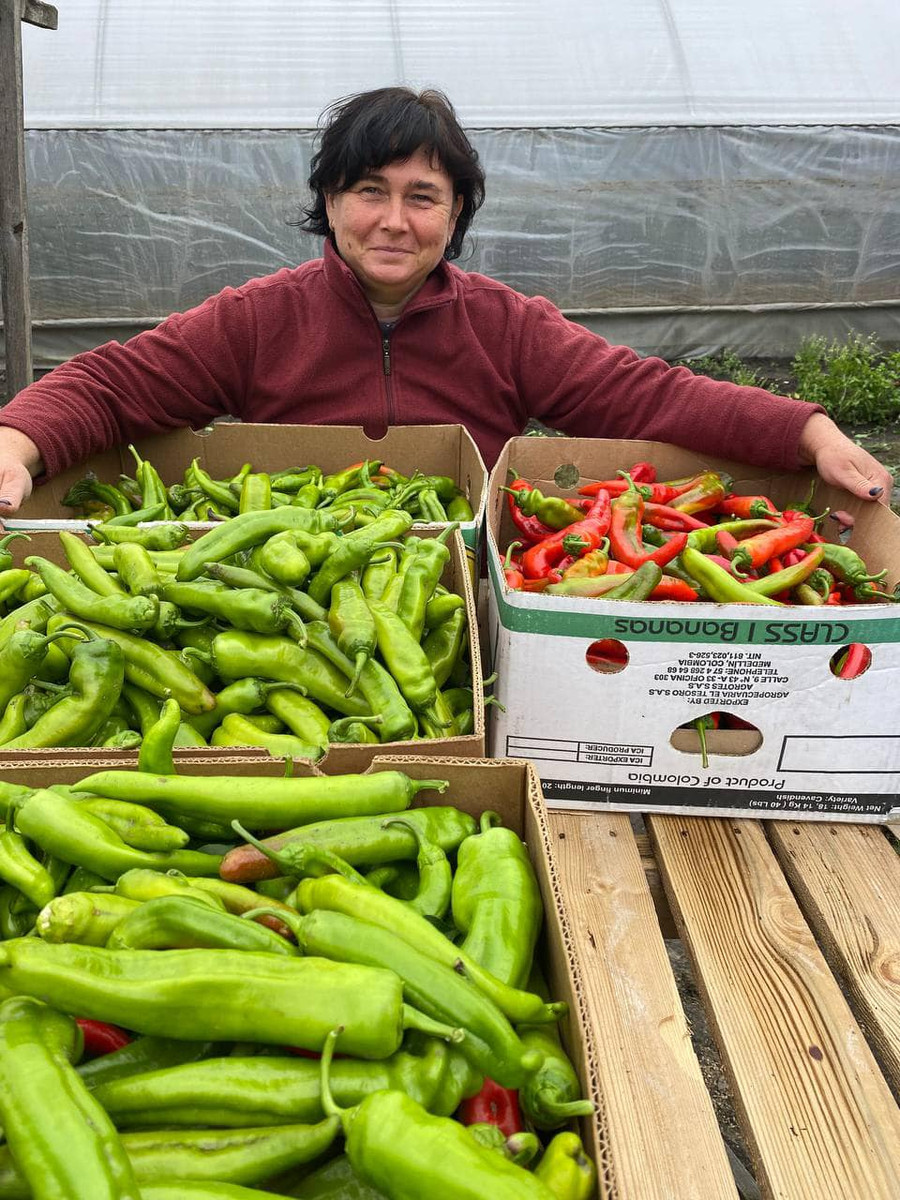 Врожай перців