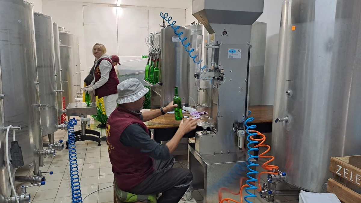 Процес розливу вина