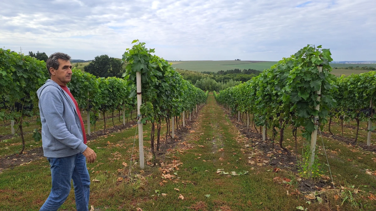 Анатолій Зелениця