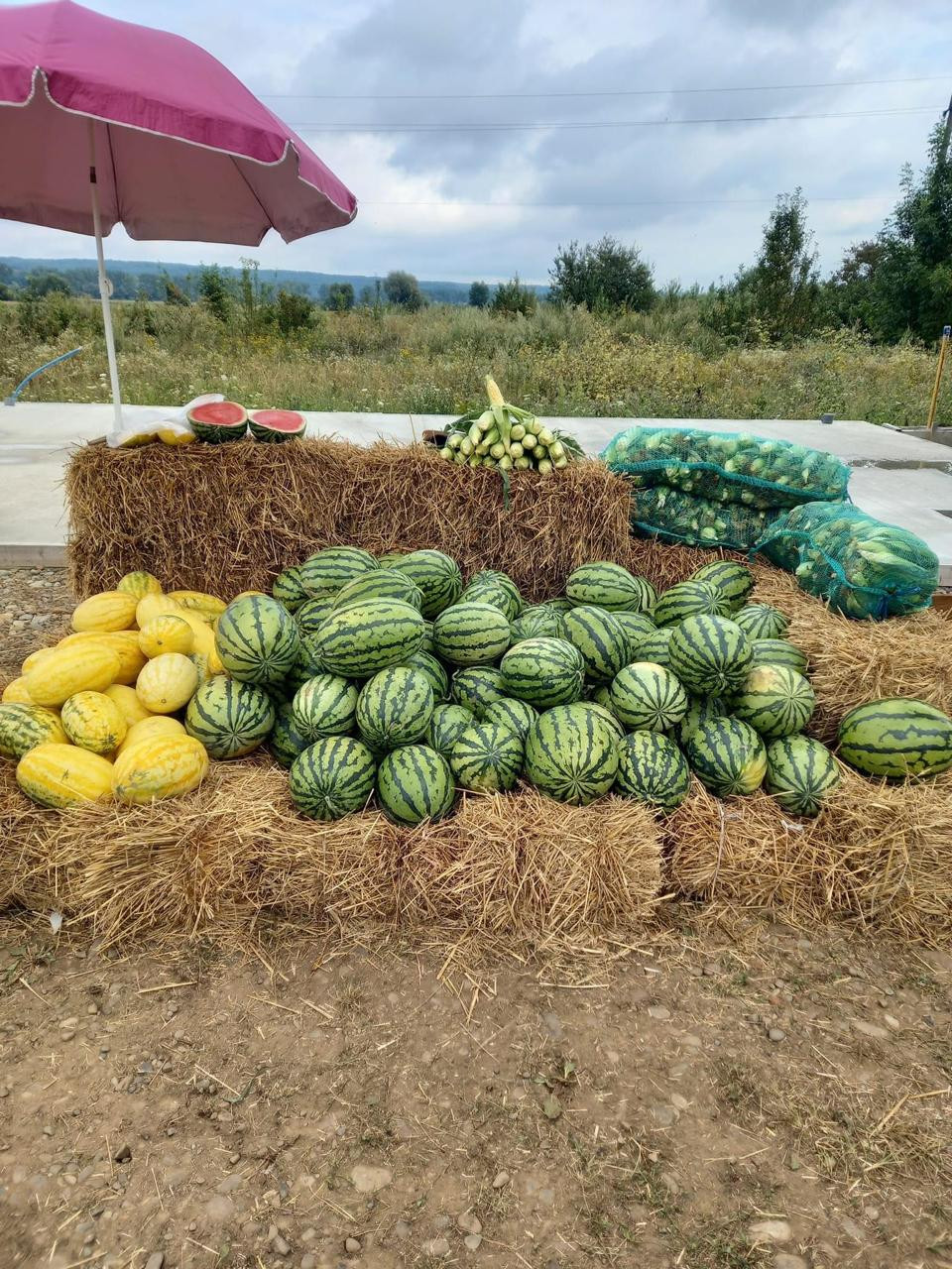 Точка продажу кавунів